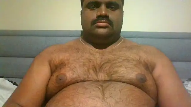 indianbearbot online show from December 15, 2024, 8:25 pm