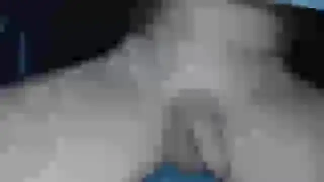 cs1512 online show from February 13, 2025, 6:37 pm