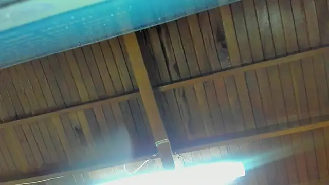 jeicob gagnon online show from September 15, 2025, 2:01 am