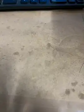 Hillz king 98 online show from January 3, 2025, 12:33 am