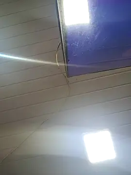 ppatriciarabello online show from November 24, 2025, 3:56 pm