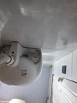 ppatriciarabello online show from November 20, 2025, 11:14 pm