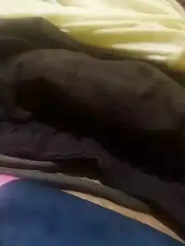 Snapshot of jarmesr7x chatting on January 27, 2025, 2:42 am jarmesr7x online show from January 27, 2025, 2:42 am