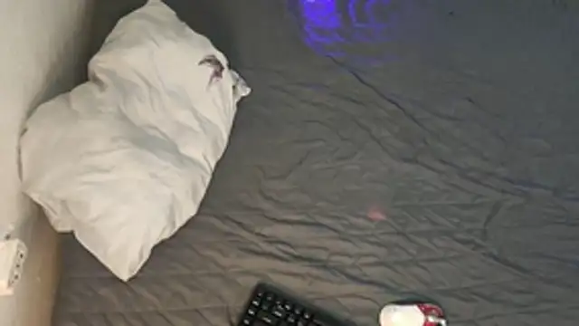 kyle 898 online show from December 2, 2025, 1:46 pm