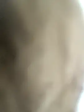 novinhosfd online show from December 31, 2024, 5:22 am