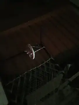 carria homes online show from October 10, 2025, 7:36 pm