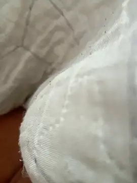 bibiazinhaaa online show from February 9, 2026, 11:25 pm