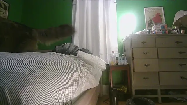 Snapshot of SadCatDaddy chatting on February 15, 2026, 11:31 am SadCatDaddy online show from February 15, 2026, 11:31 am