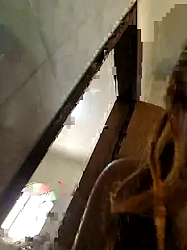 Snapshot of AliceRuivinha2 chatting on October 18, 2025, 3:03 pm AliceRuivinha2 online show from October 18, 2025, 3:03 pm