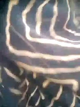 Amaya Bajwa online show from October 29, 2025, 1:15 am