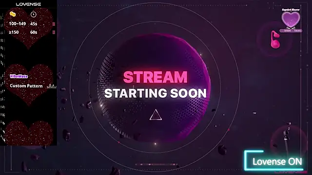 Snapshot of PrisBrayden chatting on February 14, 2025, 2:50 am PrisBrayden online show from February 14, 2025, 2:50 am