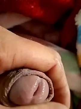 mmarvis za78 93 21cm online show from February 9, 2025, 2:38 am