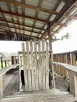 32XRedBeard online show from March 3, 2026, 10:17 pm