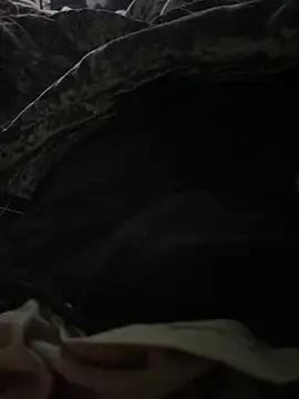 Snapshot of BCFZD chatting on September 27, 2025, 3:23 am BCFZD online show from September 27, 2025, 3:23 am