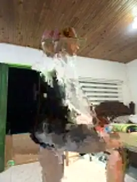 pegaso888888 online show from May 7, 2026, 3:22 am