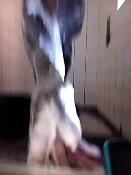 Snapshot of Dube501 chatting on October 12, 2025, 5:42 am Dube501 online show from October 12, 2025, 5:42 am