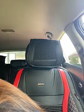 Kelley Allie online show from April 15, 2026, 8:31 am