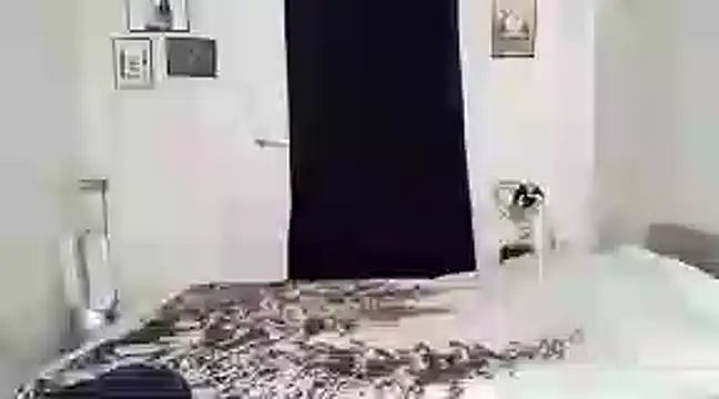 Snapshot of alexandrezeke chatting on February 27, 2025, 10:33 am alexandrezeke online show from February 27, 2025, 10:33 am