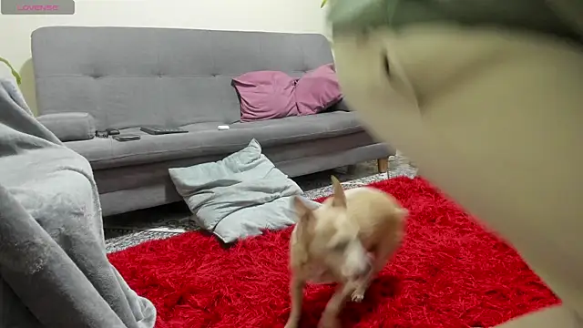 Salvatore costa online show from September 19, 2025, 12:36 am