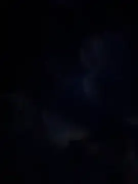 Miia Jazmin online show from January 13, 2026, 11:03 am