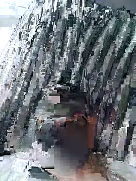 SHALUJAAN2025 online show from March 9, 2026, 6:22 pm