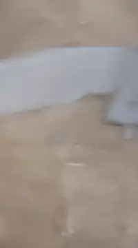 Snapshot of laxmitelugu78 chatting on February 2, 2025, 7:25 pm laxmitelugu78 online show from February 2, 2025, 7:25 pm