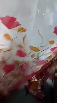 Snapshot of laxmitelugu78 chatting on February 4, 2025, 1:59 pm laxmitelugu78 online show from February 4, 2025, 1:59 pm