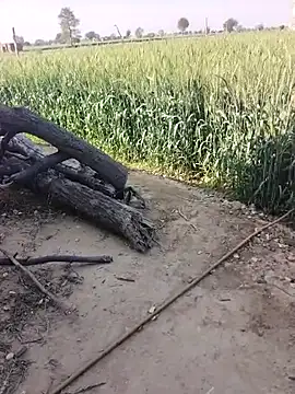 Snapshot of xmanrawan2 chatting on February 23, 2026, 5:09 am xmanrawan2 online show from February 23, 2026, 5:09 am