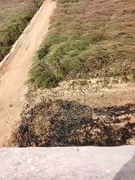 Snapshot of xmanrawan2 chatting on February 12, 2026, 5:07 am xmanrawan2 online show from February 12, 2026, 5:07 am