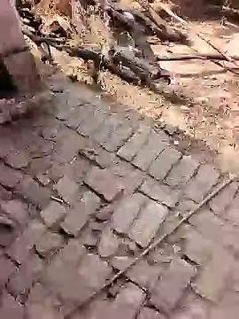 Snapshot of xmanrawan2 chatting on February 17, 2026, 7:16 am xmanrawan2 online show from February 17, 2026, 7:16 am