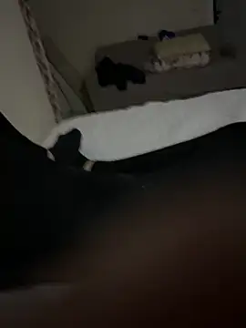 senle12ben2 online show from February 3, 2025, 7:42 pm