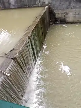 Pourleplasirs online show from February 24, 2025, 4:04 pm