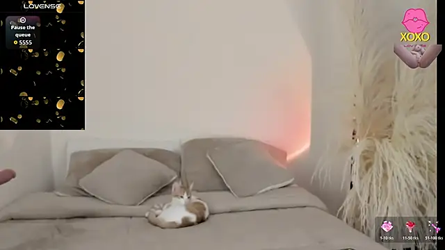 Sammy-Jhonson online show from March 29, 2026, 11:06 pm