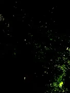 beatle666 online show from January 19, 2026, 4:16 am