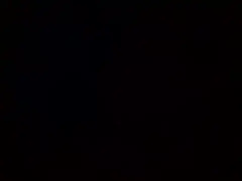 beatle666 online show from February 9, 2025, 11:04 am