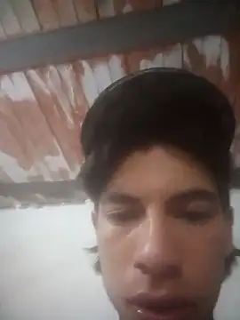 snake on online show from February 16, 2025, 2:20 am