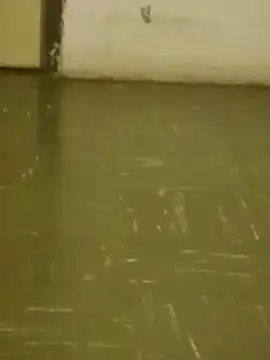 DahGiver online show from February 18, 2025, 10:47 pm