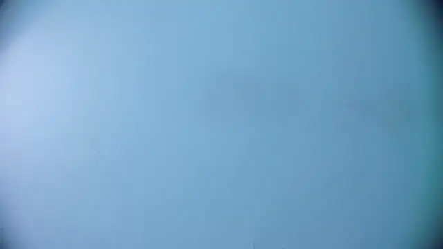 Ashlyaurora online show from March 19, 2025, 7:40 am