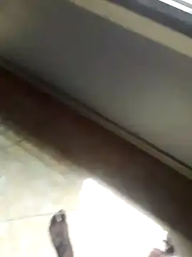 BigD634 online show from February 10, 2025, 11:46 am