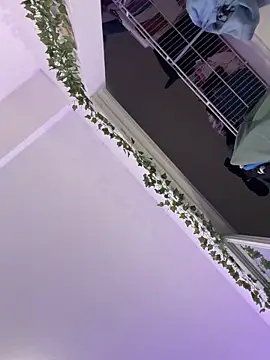 tastylolaaa online show from October 18, 2025, 3:30 am