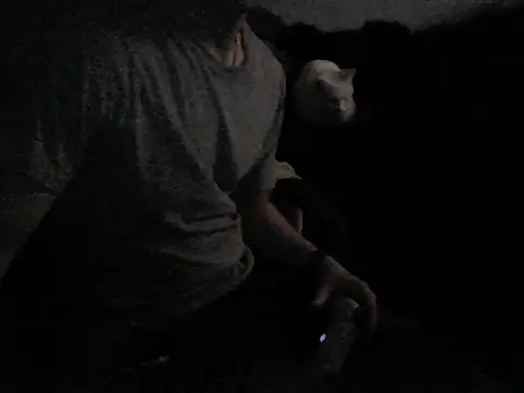 Snapshot of MarioKnero chatting on February 26, 2026, 9:53 am MarioKnero online show from February 26, 2026, 9:53 am