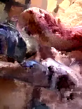 26menny74 online show from November 7, 2025, 12:15 am