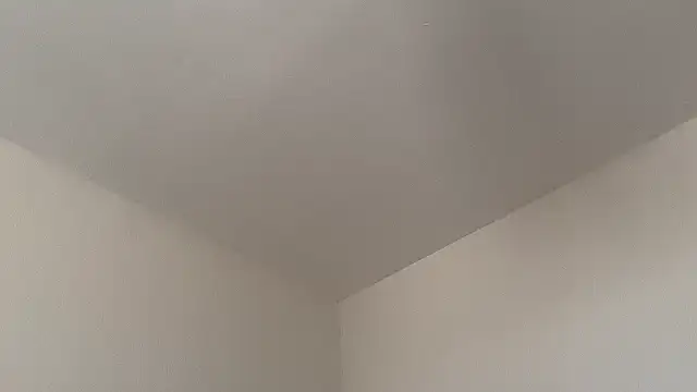 skyejde online show from February 14, 2026, 9:20 am