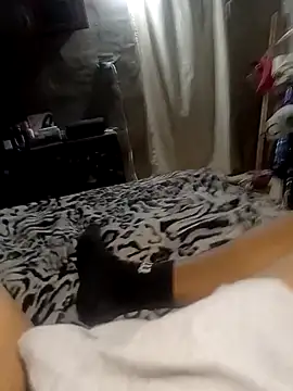 xxx dogg online show from December 18, 2025, 5:34 am