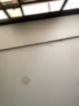 Snapshot of Dulce__Boyd chatting on February 20, 2026, 2:08 pm Dulce Boyd online show from February 20, 2026, 2:08 pm