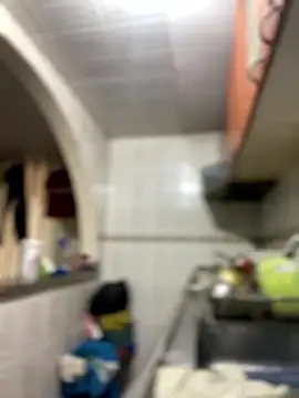 Carola-Ross online show from January 14, 2026, 3:37 pm