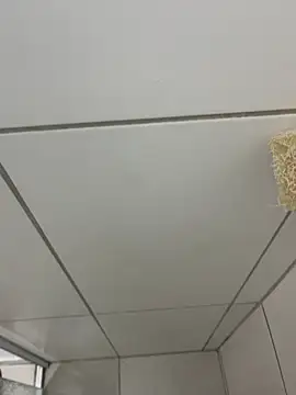 MateusBH123 online show from January 13, 2026, 2:37 am