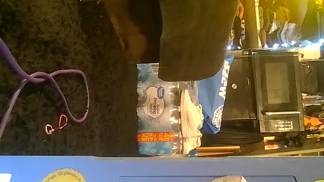 Snapshot of ShysluutGia chatting on February 4, 2026, 7:47 am ShysluutGia online show from February 4, 2026, 7:47 am