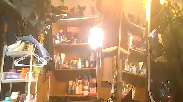 Snapshot of ShysluutGia chatting on January 31, 2026, 10:08 pm ShysluutGia online show from January 31, 2026, 10:08 pm