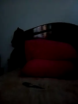 jhon 1988 24 online show from October 19, 2025, 8:11 pm